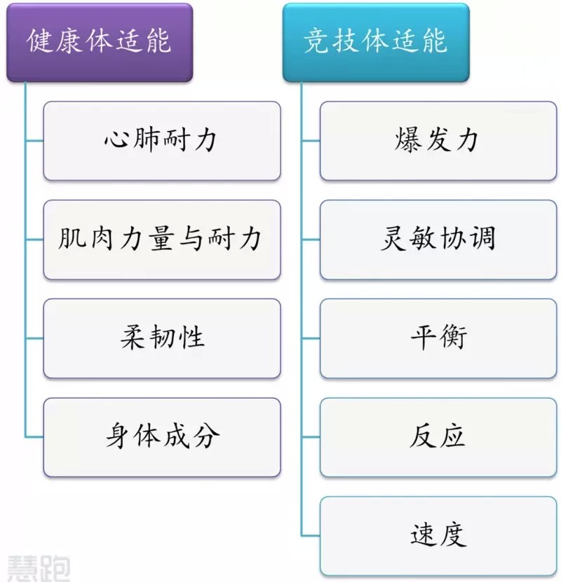 为什么篮球训练咨询能帮助提升技能_2